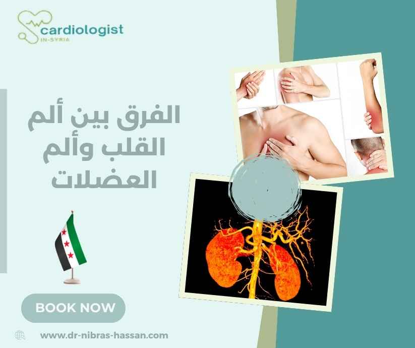 الفرق بين ألم القلب وألم العضلات الفرق بين ألم القلب وألم العضلات