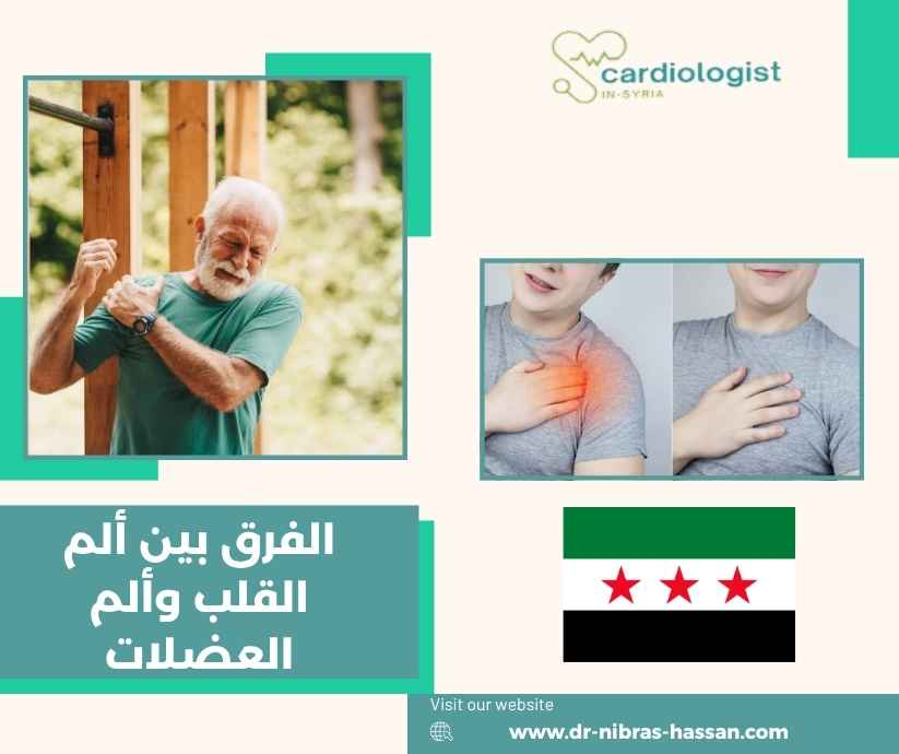 الفرق بين ألم القلب وألم العضلات الفرق بين ألم القلب وألم العضلات