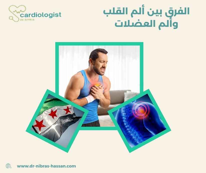 الفرق بين ألم القلب وألم العضلات الفرق بين ألم القلب وألم العضلات